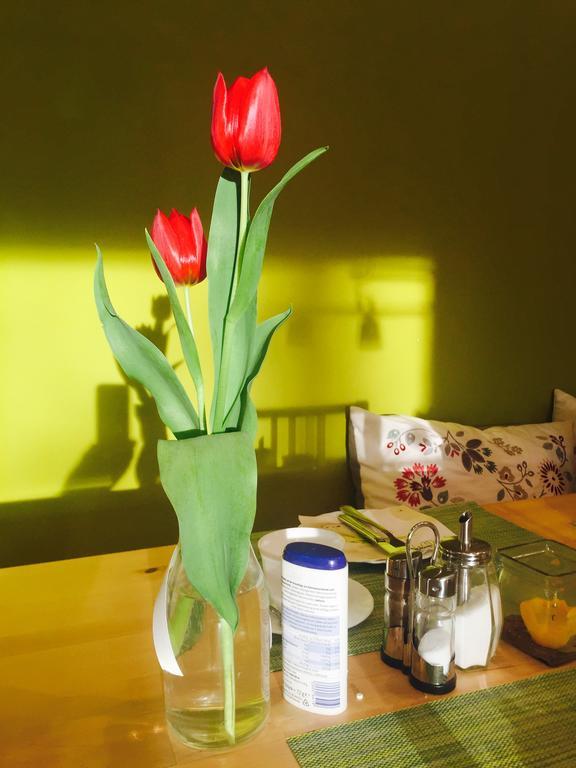 Apartmenthaus Sonnen ดุสเซลดอร์ฟ ภายนอก รูปภาพ